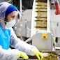 Staff of seafood production factory carrying out his work by industrial seaweed salad mixing machine