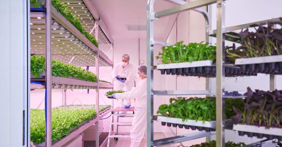 Planet Farms insieme a Swiss Life per puntare verso l’estero Planet Farms insieme a Swiss Life per puntare verso l’estero