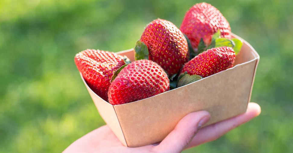 Packaging da oli essenziali e sostanze naturali per allungare la vita delle fragole Packaging da oli essenziali e sostanze naturali per allungare la vita delle fragole