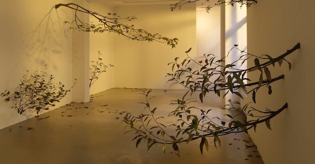 Álvaro Urbano in mostra da Chert Lüdde durante il Gallery Weekend Berlin 2025, Courtesy l’artista e la galleria