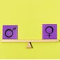 blocks with gender symbols seesaw