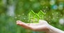 natali_mis - stock.adobe.com