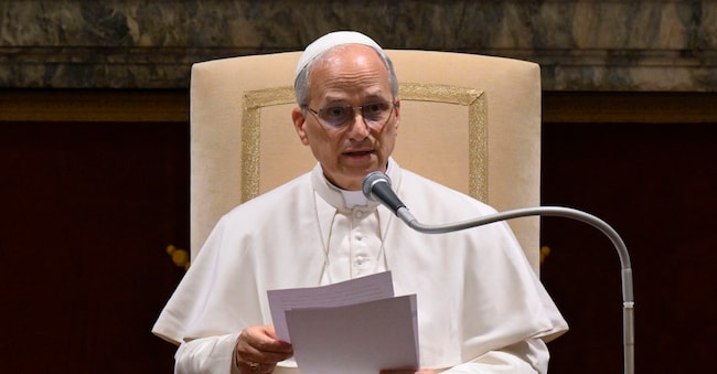 Papa Leone XIV  ANSA/US VATICAN MEDIA