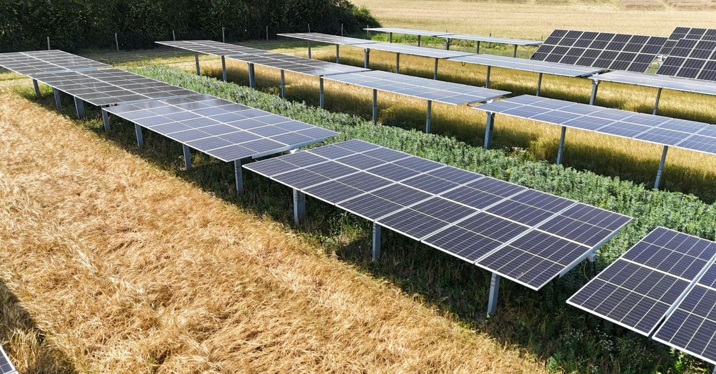 Agrivoltaico, gli operatori pronti a rinunciare al bando Pnrr