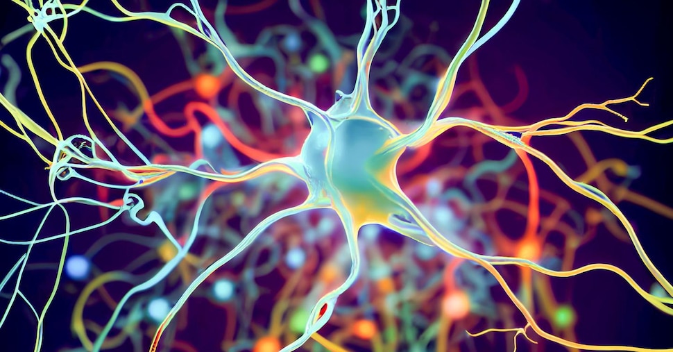 Speranza per Alzheimer e SLA: l'Innovativa Tecnologia Italiana che Rivoluziona le Cure con la Nanotecnologia