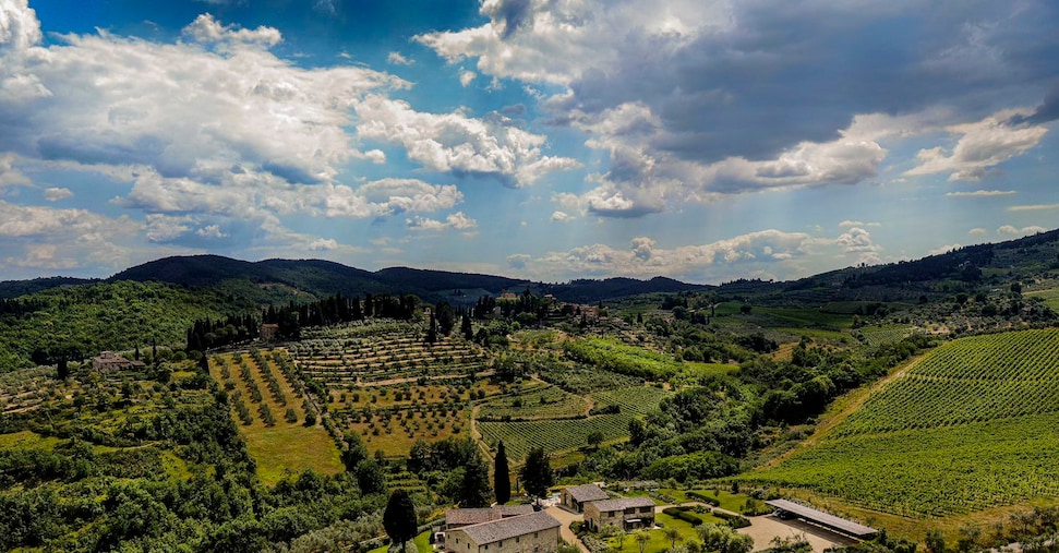 Folonari rilancia e investe 9 milioni in impianti e ospitalità Folonari rilancia e investe 9 milioni in impianti e ospitalità