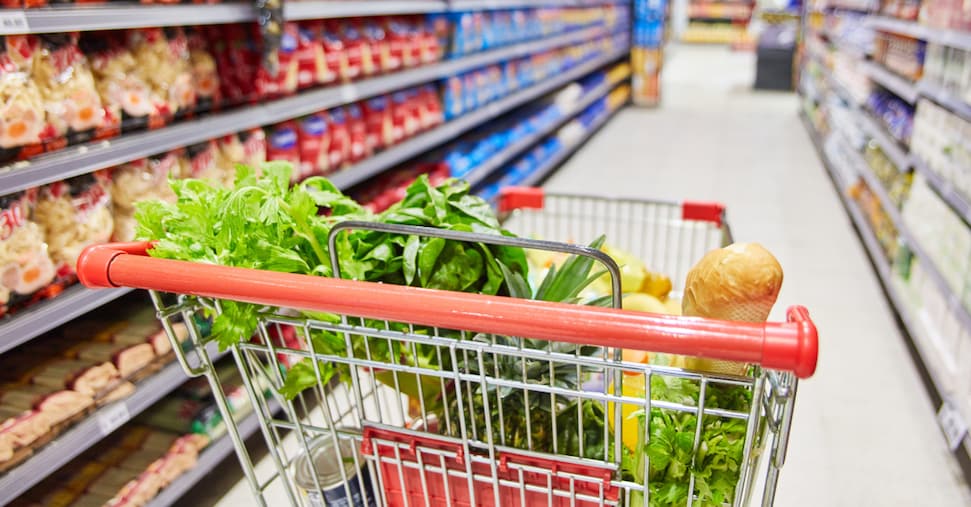 Marche: La Dieta Mediterranea, Uno Stile di Vita Sostenibile per il Benessere e la Valorizzazione del Territorio