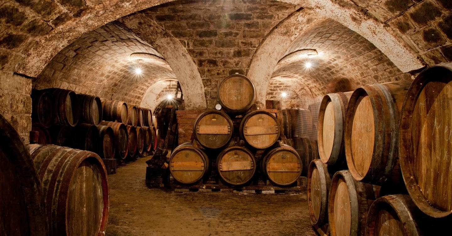 Ecco come si fa il vino: un processo poco romantico (almeno all’inizio)