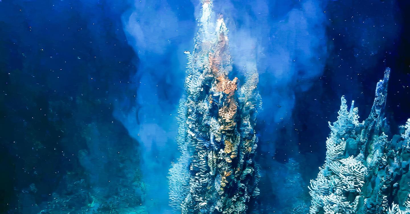 Lo spazio vitale degli organismi marini si sta riducendo
