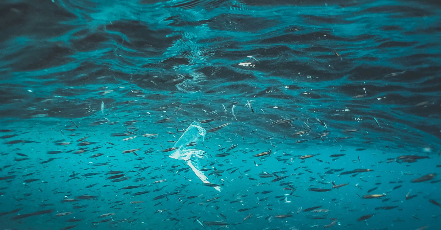 https://i2.res.24o.it/images2010/S24/Documenti/2025/05/30/Immagini/Ritagli/naja-bertolt-jensen-vQSzhjk7mss-unsplash-U58468124035YXW-1440x752@IlSole24Ore-Web.jpg