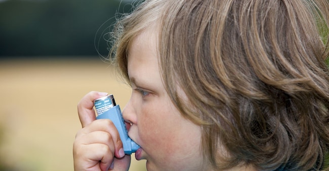 Eight year old boy using an inhaler to treat an asthma attack. Asthma causes breathing difficulties due to the contraction of the airways in the lungs. The pump dispenses 100 micrograms of the bronchodilator drug salbutamol (salbutamol sulphate BP) per dose to giving rapid relief from wheezing and breathlessness. This pump uses a non-CFC (chlorofluorocarbon) propellant. LEWIS HOUGHTON/SCIENCE PHOTO LIBRARY / AGF