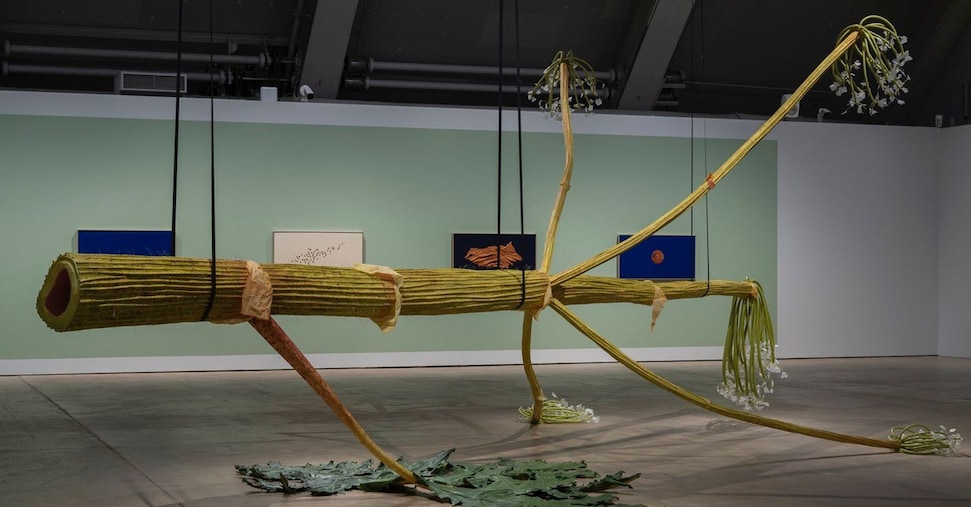 Biennale Helsinki 2025: arte che ascolta il mondo non umano