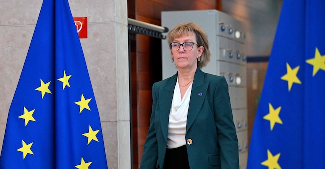 La commissaria europea ai servizi finanziari e agli investimenti,  Maria Luis Albuquerque 