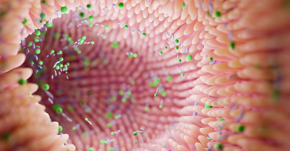 Microbioma e salute: le scelte dei primi 20 anni durano tutta la vita, ecco come cambiarle Microbioma e salute: le scelte dei primi 20 anni durano tutta la vita, ecco come cambiarle