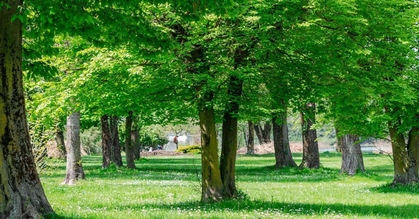 https://i2.res.24o.it/images2010/S24/Documenti/2025/06/14/Immagini/Ritagli/AdobeStock_287623597-U41833428810pZf-1440x752@IlSole24Ore-Web.jpeg