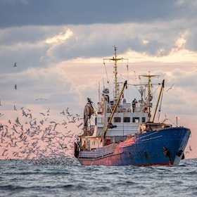 Return of the fishing seiner after the catch at sunset