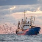Return of the fishing seiner after the catch at sunset