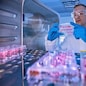 Containers of fentanyl pills are displayed at a Drug Enforcement Administration (DEA) research laboratory on Tuesday, April 29, 2025, in Northern Virginia. (AP Photo/Mark Schiefelbein)