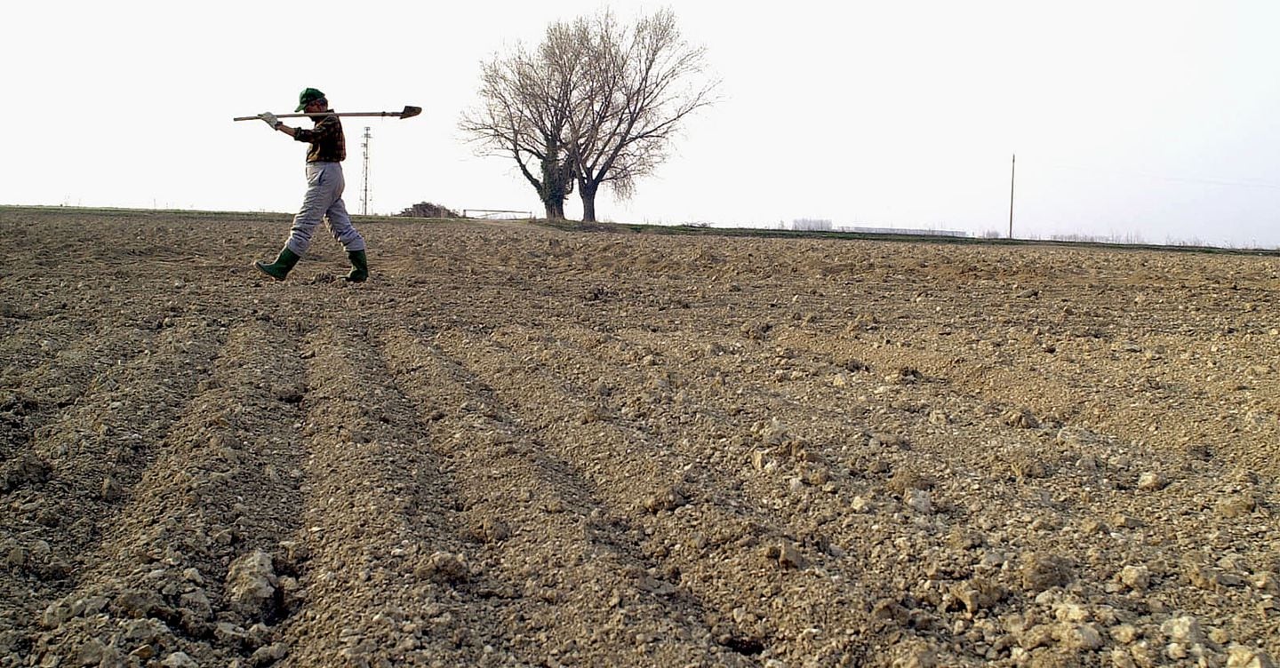 https://i2.res.24o.it/images2010/S24/Documenti/2025/06/17/Immagini/Ritagli/siccita-agricoltura-italia-ansa-U85736661066xMp-1440x752@IlSole24Ore-Web.jpg