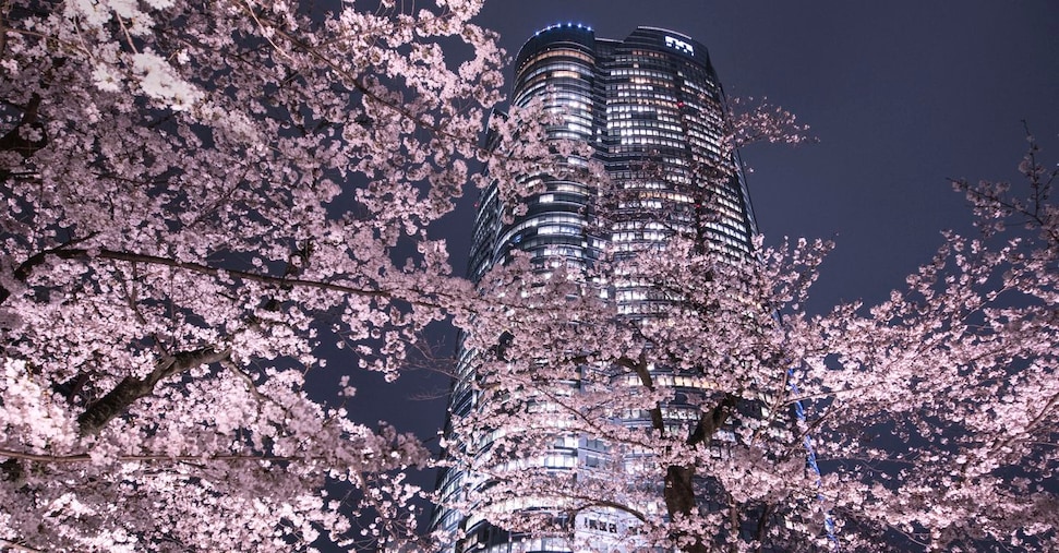 Nel cuore pulsante di Tokyo in vetrina la virtù dell’arte diplomatica