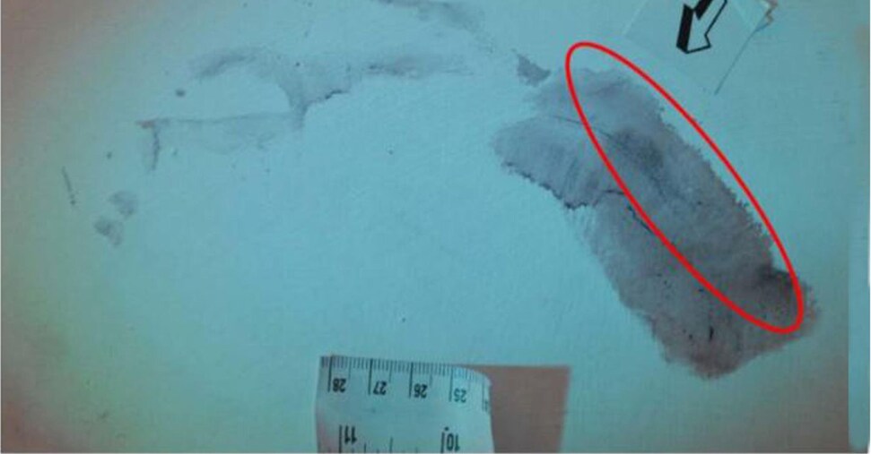 Garlasco, non c’è sangue in impronta sulla porta. Tra i reperti manca l’intonaco dell’impronta 33