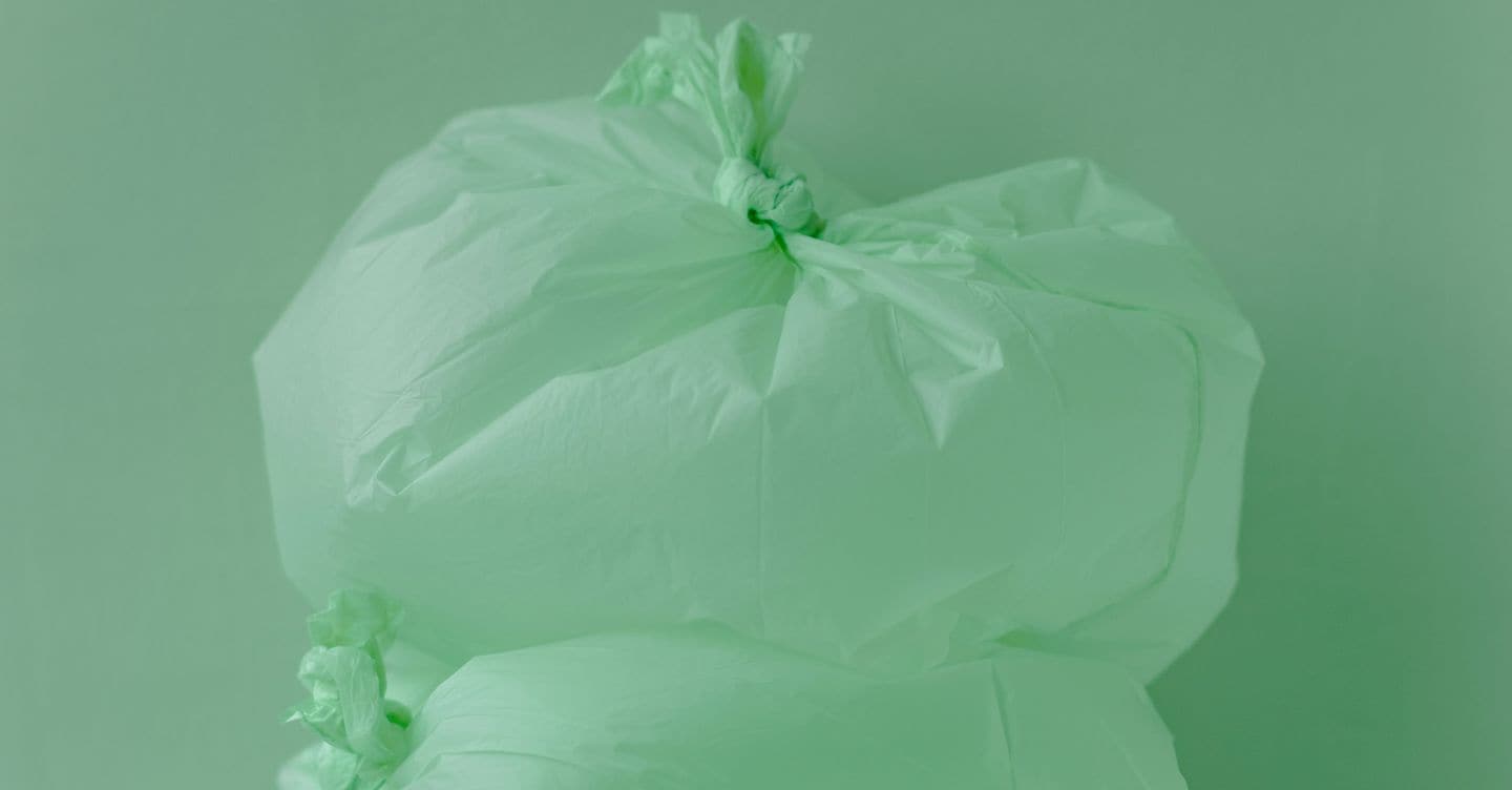 https://i2.res.24o.it/images2010/S24/Documenti/2025/06/20/Immagini/Ritagli/360floralflaves-Srqn3jUKBvc-unsplash-U54705427232Krv-1440x752@IlSole24Ore-Web.jpg