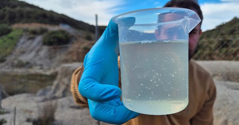 batteri e piante rigenerano i siti minerari batteri e piante rigenerano i siti minerari