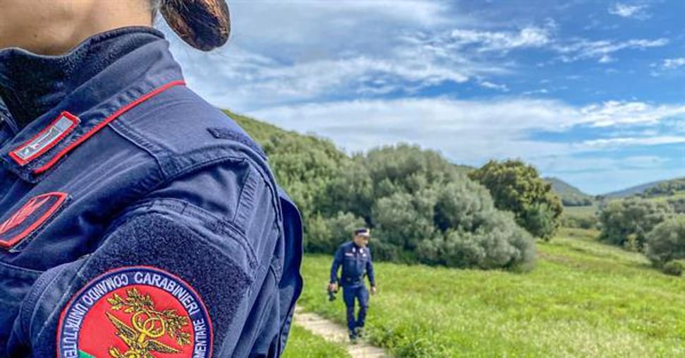 Il nuovo concorso per allievi Carabinieri 2025 apre ai difensori dell’ambiente Il nuovo concorso per allievi Carabinieri 2025 apre ai difensori dell’ambiente