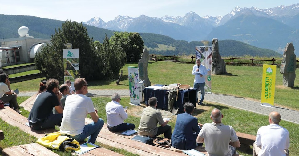 La Valle d’Aosta lancia la certificazione della biodiversità per valorizzare prodotti e ambiente