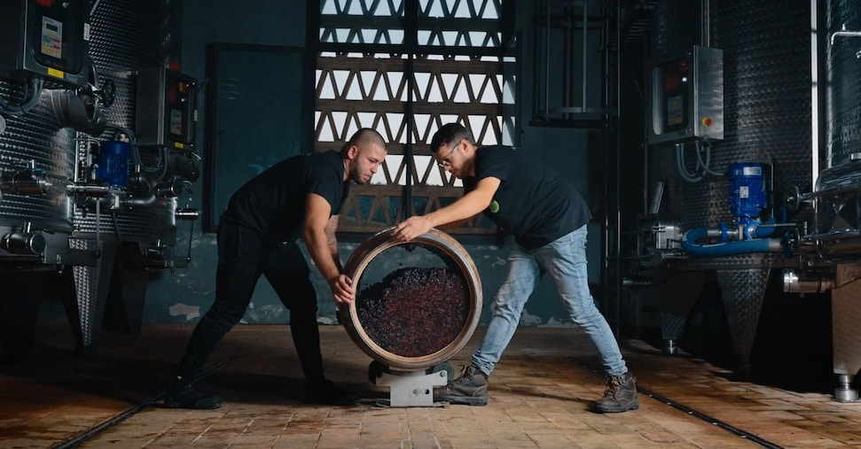Marco Caprai: contro la crisi del vino meno uva, più qualità e andare uniti all’estero