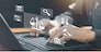 Legal advice online, labor law concept, layer or notary working for business company.