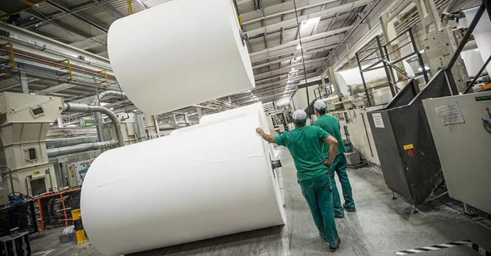 Il paradosso dell’Italia: esporta la carta che ricicla, ma poi la ricompra Il paradosso dell’Italia: esporta la carta che ricicla, ma poi la ricompra