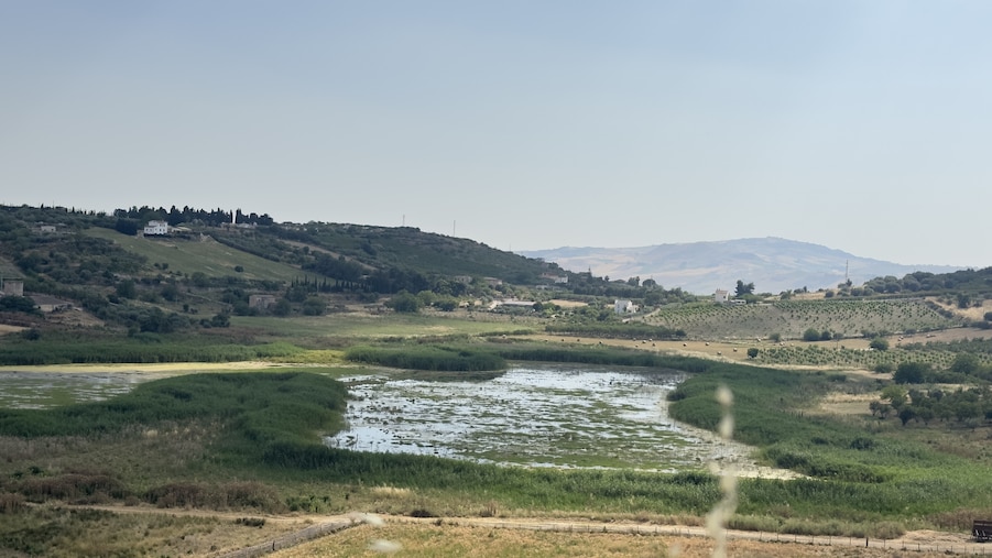 Infrastrutture idriche, in Sicilia programmati e non spesi 4,5 miliardi Infrastrutture idriche, in Sicilia programmati e non spesi 4,5 miliardi