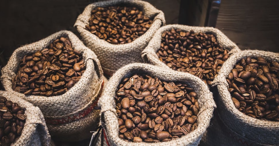 Caffè e sonno: perché a qualcuno rovina la notte e ad altri no? Caffè e sonno: perché a qualcuno rovina la notte e ad altri no?