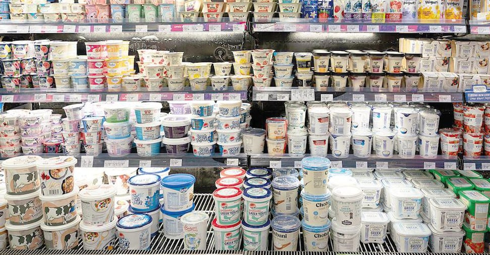 Yogurt, acquisti in aumento del 5% in un anno spinti da greco, proteici e «quasi dessert» Yogurt, acquisti in aumento del 5% in un anno spinti da greco, proteici e «quasi dessert»