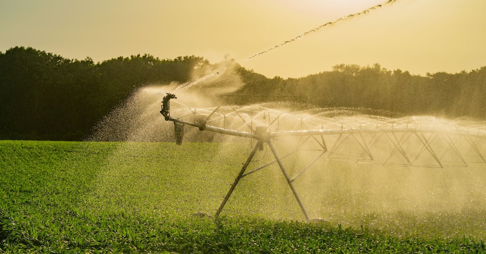 Acqua depurata con i raggi ultravioletti per irrigare i campi Acqua depurata con i raggi ultravioletti per irrigare i campi