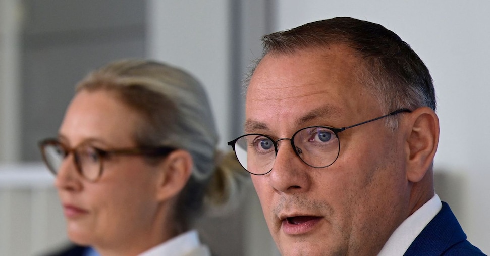 Germania, il partito di estrema destra AfD prova a moderarsi: nuovo codice di condotta (ma la sostanza resta)