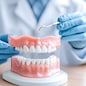 A dentist demonstrates full set of dentures on dental model, showcasing dental tools