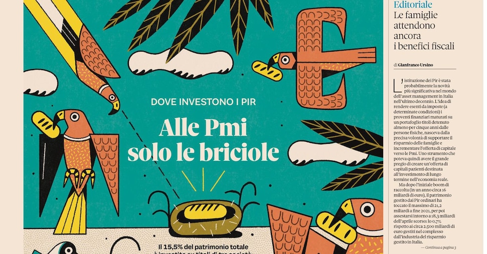 Dove investono e chi premiano i Pir