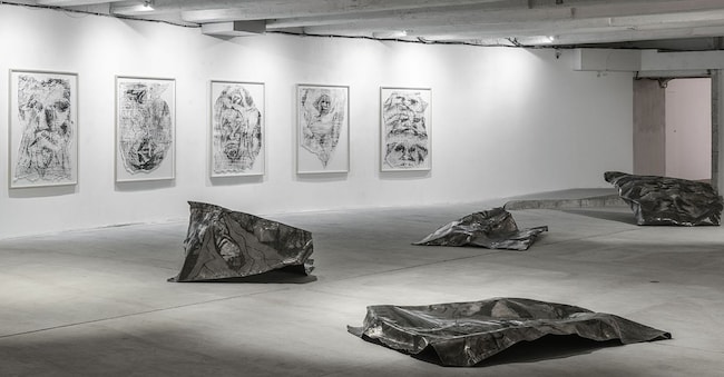Installation view Canemorto exhibition af FNDR, Courtesy Fondazione Nicola Del Roscio, Ph. Giorgio Benni