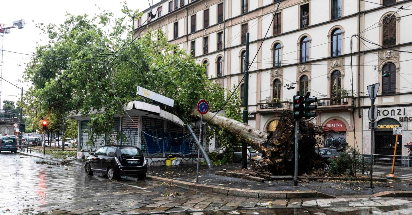 https://i2.res.24o.it/images2010/S24/Documenti/2025/07/08/Immagini/Ritagli/baiamonti-U61843241061ycH-1440x752@IlSole24Ore-Web.jpg