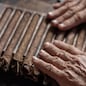 Cigar rolling or making by torcedor in cuba, Pinar del rio province