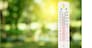 thermometer on a green nature background and temperature measuring, environment concept.