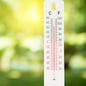 thermometer on a green nature background and temperature measuring, environment concept.
