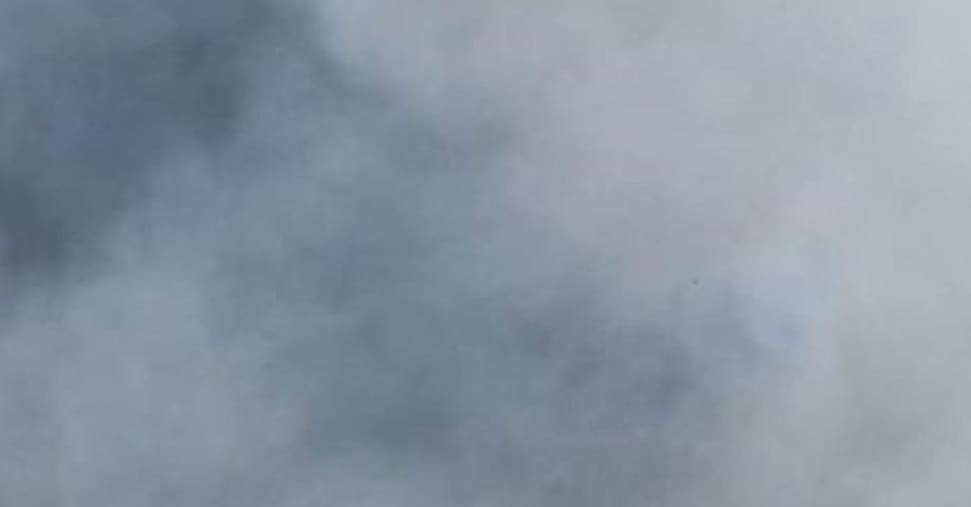 Incendio in campeggio a Castiglione della Pescaia: 600 evacuati. Le fiamme stanno interessando una pineta storica