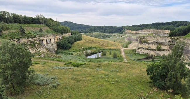 Uno degli scenari naturalistici toccati dal cammino Pieterpad
