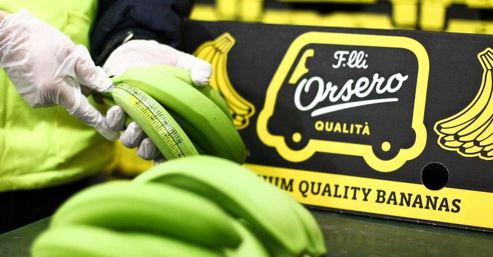 Orsero, più integrazione con le filiere agricole. Focus sul Nord America Orsero, più integrazione con le filiere agricole. Focus sul Nord America