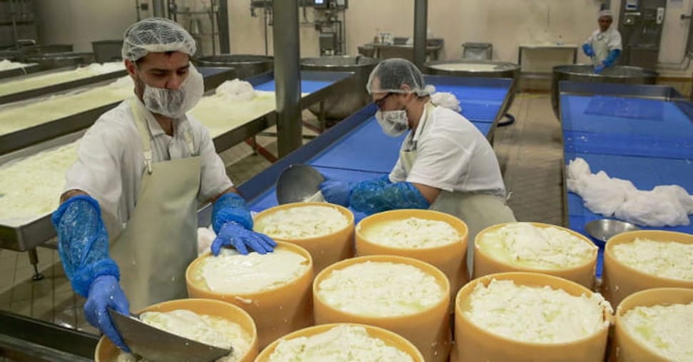 Dazi: dall’automotive all’agroalimentare, ecco i settori più colpiti da Trump