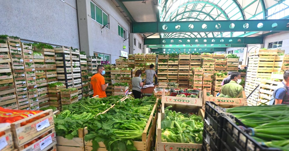 Dai dazi, colpo mortale da 2,3 miliardi per food e wine Dai dazi, colpo mortale da 2,3 miliardi per food e wine