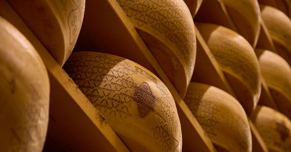 Berni (Grana Padano): «I dazi al 30%? Un assist ai produttori del Wisconsin» Berni (Grana Padano): «I dazi al 30%? Un assist ai produttori del Wisconsin»